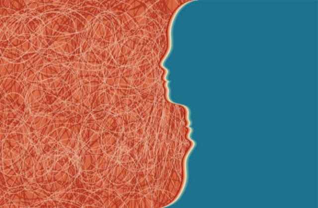 6. His Nedir? 6. His Nasıl Anlaşılır? 8 6. His Nedir? 6. His Nasıl Anlaşılır?