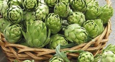 Saklama Sanatı: Kadınların Taze Yiyecekleri Daha Uzun Süre Koruma Sırları