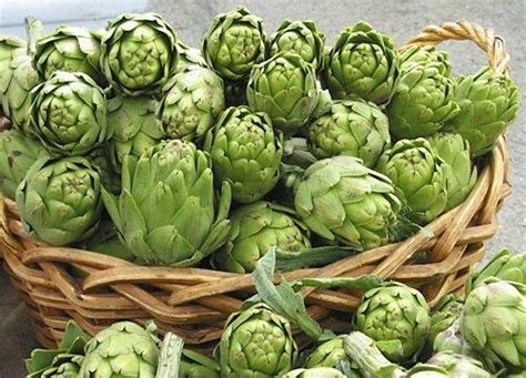 Saklama Sanatı: Kadınların Taze Yiyecekleri Daha Uzun Süre Koruma Sırları