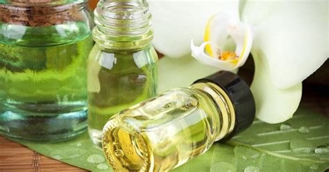 Doğal Saç Bakımının Yıldızları: Organik Yağlar ve Kullanım Alanları 1 Doğal Saç Bakımının Yıldızları: Organik Yağlar ve Kullanım Alanları