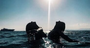 Kadınlara Özel Tur Paketleri: Seyahat Etmek İçin İlham Verici Rotalar