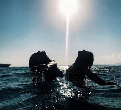 Kadınlara Özel Tur Paketleri: Seyahat Etmek İçin İlham Verici Rotalar