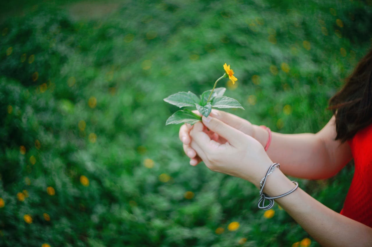 mars-burcu-balik-olan-kadin