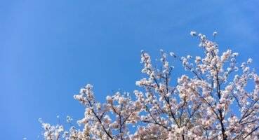 Cemre Düşmesi Nedir? Baharın Habercisi Olarak Bilinen Doğa Olayı